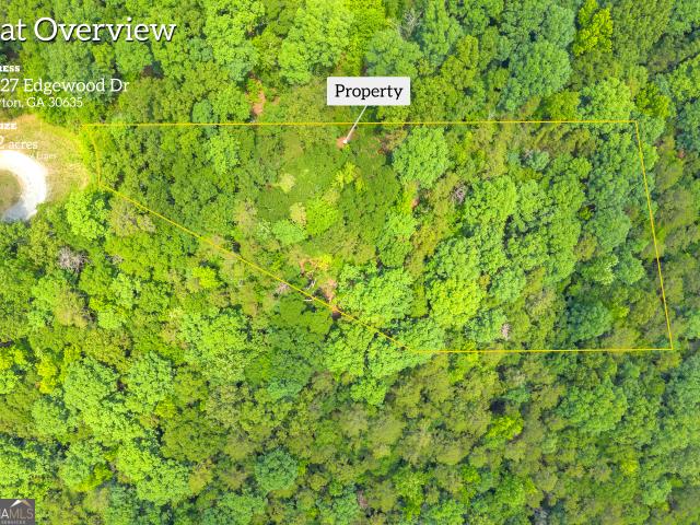 Land for sale in Elbert, Georgia