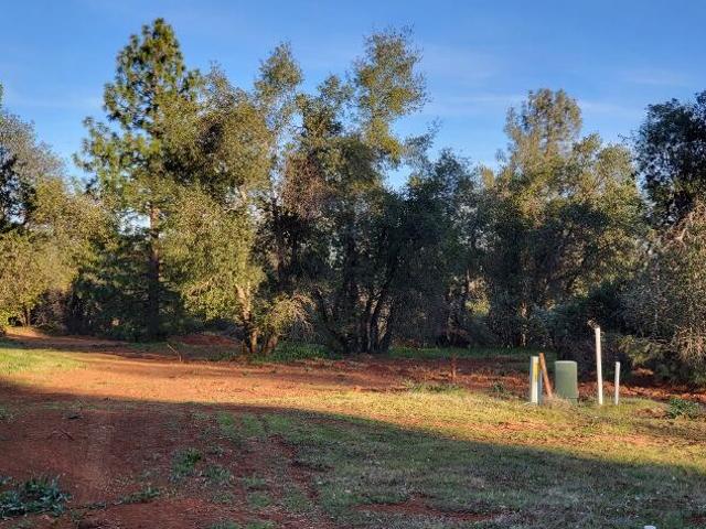Land for sale in Shasta, California
