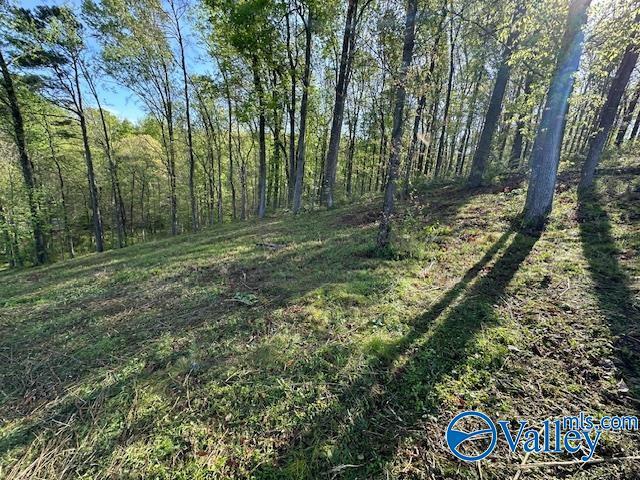 Land for sale in Guntersville, Alabama