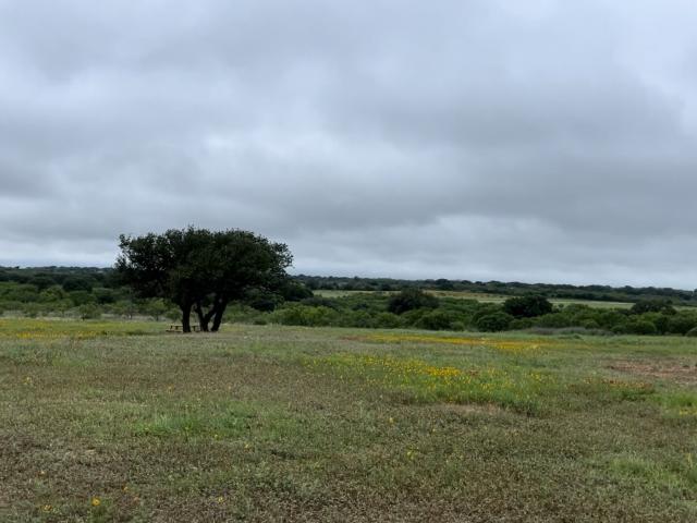 Land for sale in Blanket, Texas