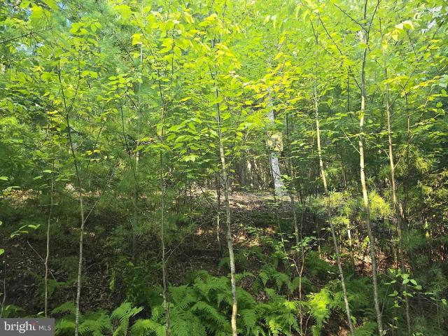 Land for sale in West Virginia