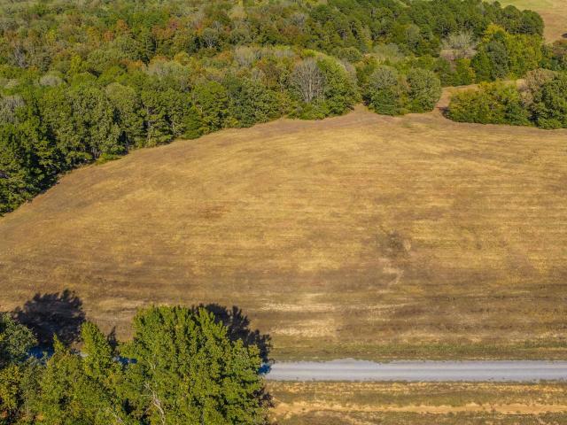 Land for sale in Quitman, Cleburne County