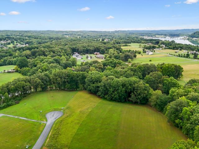 Land for sale in White Pine