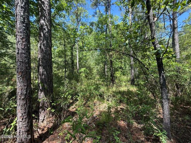 Land for sale in Belhaven, North Carolina