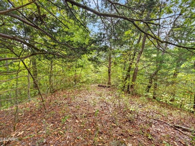 Land for sale in Neely Crossroads, Celina
