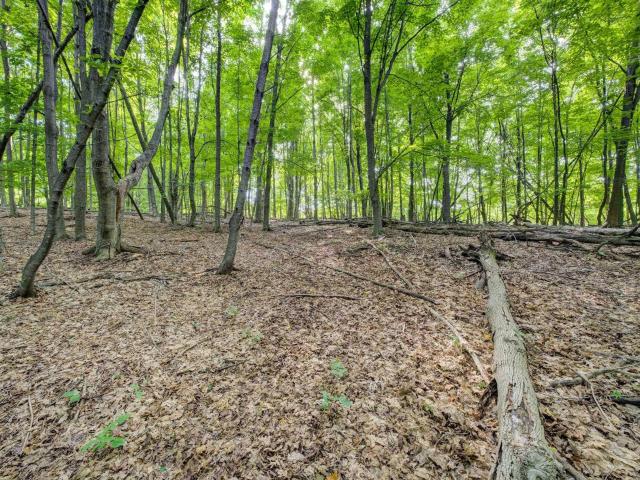 Land for sale in Michigan