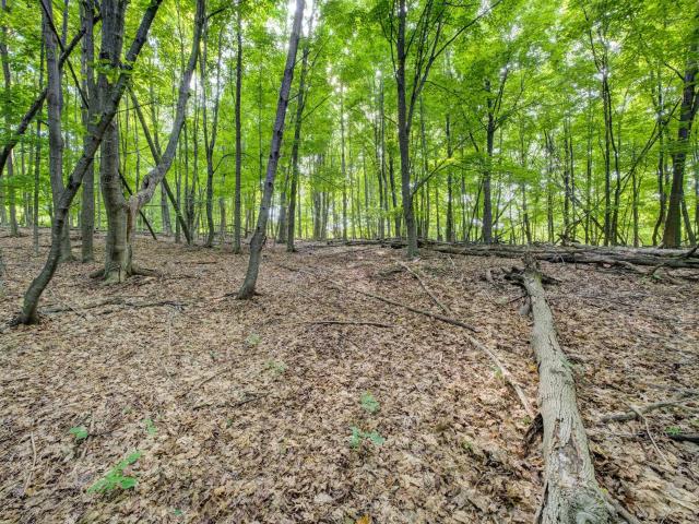 Land for sale in Michigan