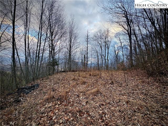 Land for sale in Watauga, North Carolina