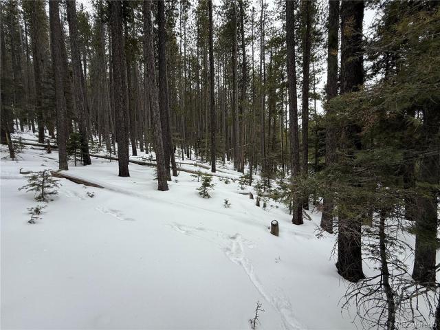 Land for sale in Fort Garland, Colorado