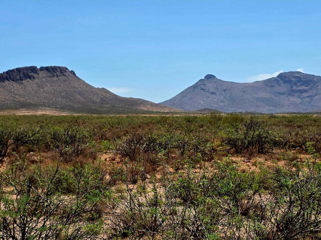 Land for sale in Douglas
