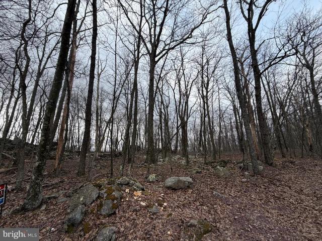 Land for sale in Zion Grove, Pennsylvania