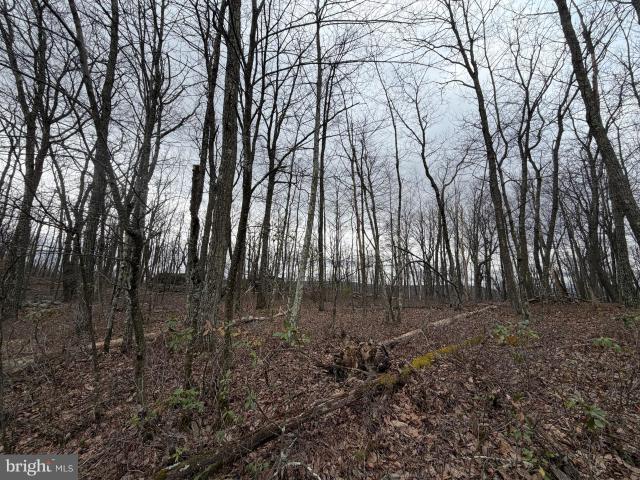 Land for sale in Zion Grove, Pennsylvania