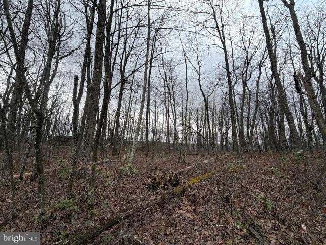 Land for sale in Zion Grove, Pennsylvania