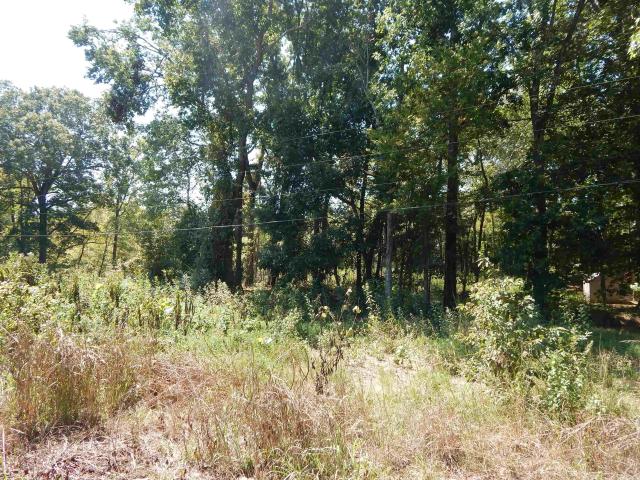 Land for sale in Ark