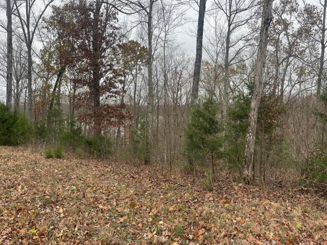 Land for sale in Monticello, Kentucky