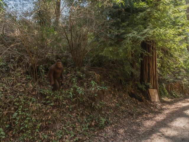 Land for sale in Felton