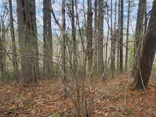 Land for sale in Virginia