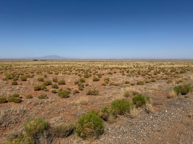 Land for sale in Belen, New Mexico