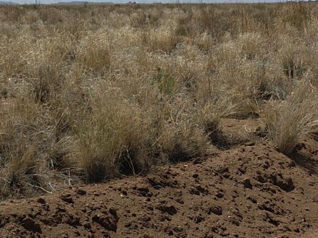 Land for sale in Blanca, Colorado