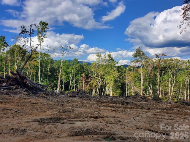 Land for sale in Spruce Pine, North Carolina