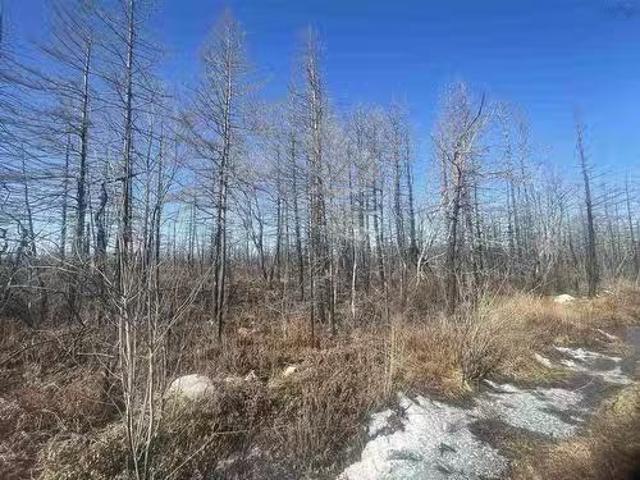 House for sale in Port Clyde, Nova Scotia