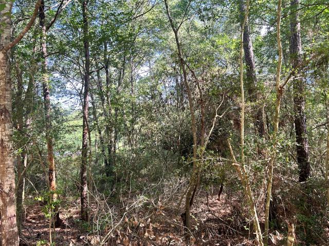 Land for sale in Plantersville, Grimes County