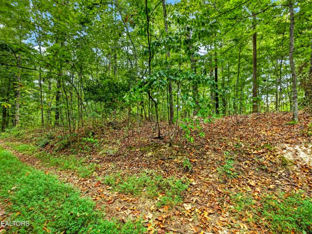 Land for sale in Neely Crossroads, Celina