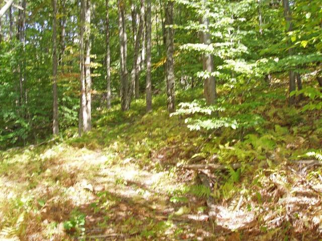 Land for sale in Andes, New York