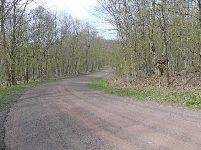 Land for sale in Andes, New York