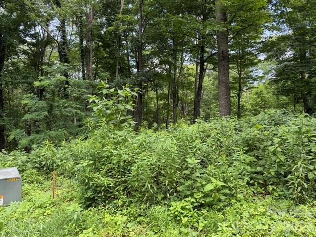 Land for sale in Haywood, North Carolina
