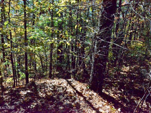 Land for sale in Tennessee
