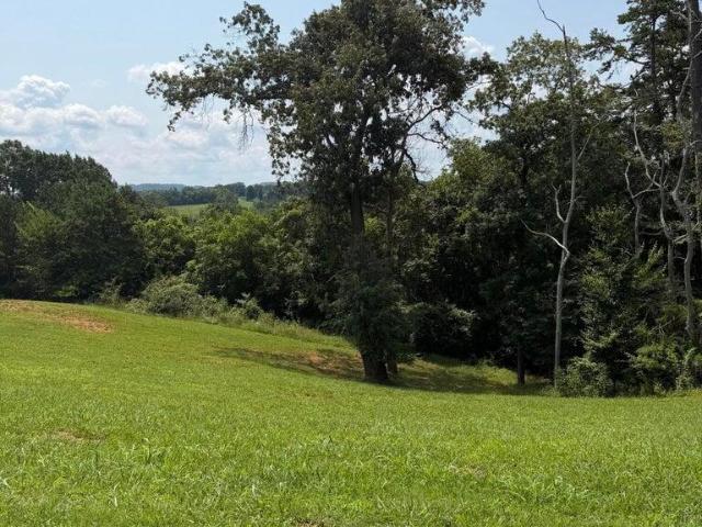 Land for sale in Windswept, Morristown