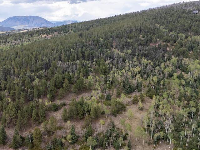 Land for sale in Fort Garland, Colorado