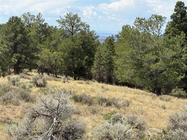 Land for sale in Fort Garland, Colorado