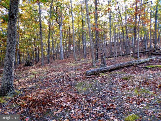 Land for sale in Points, West Virginia