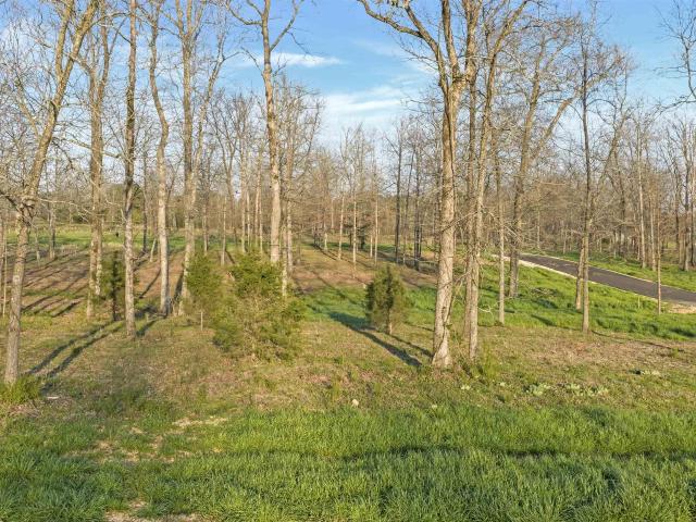 Land for sale in Rainsville, Alabama