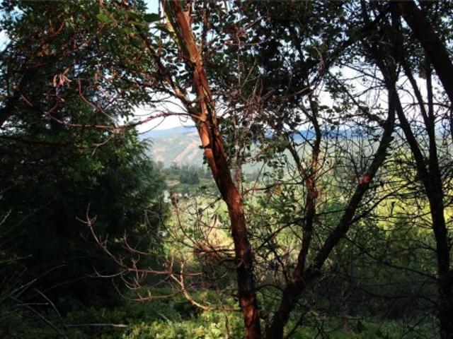 Land for sale in Malahat, British Columbia