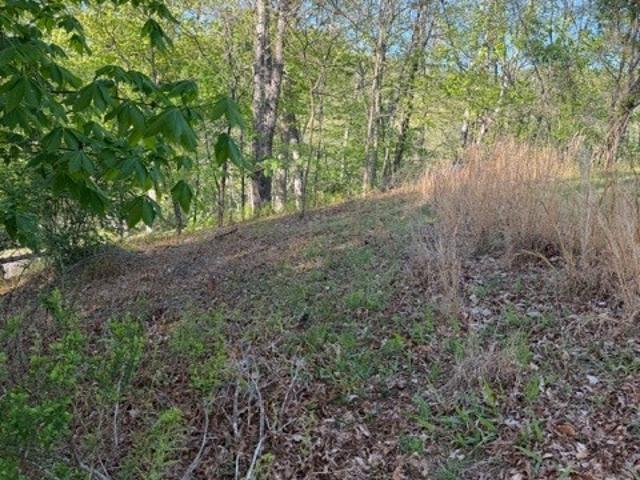 Land for sale in Alleghany, North Carolina