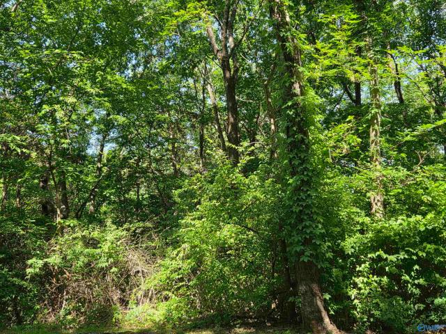 Land for sale in Huntsville, Alabama