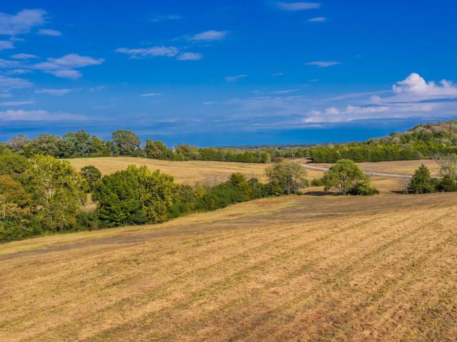Land for sale in Quitman, Cleburne County