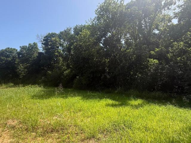 Land for sale in Ark