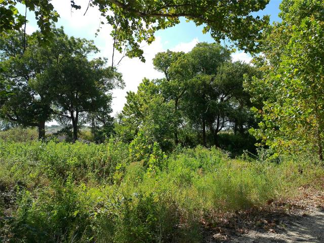 Land for sale in Bertram, Burnet County