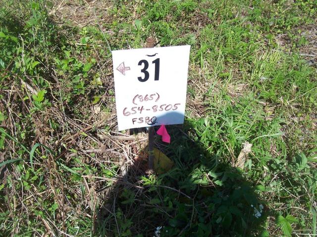 Land for sale in Tennessee