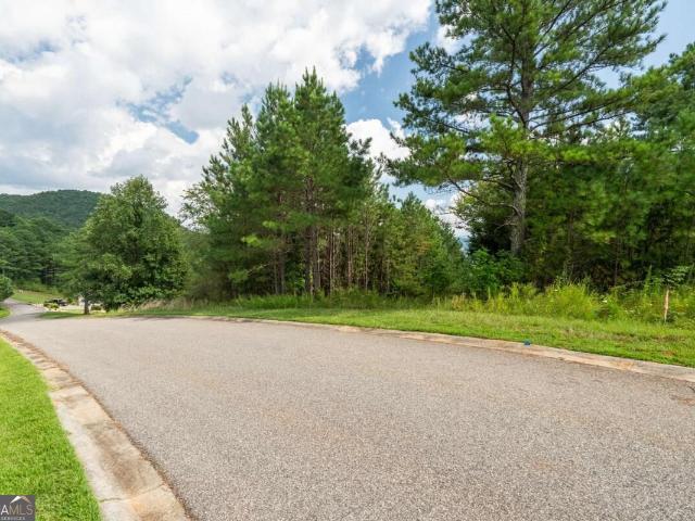 Land for sale in Blairsville, Union County