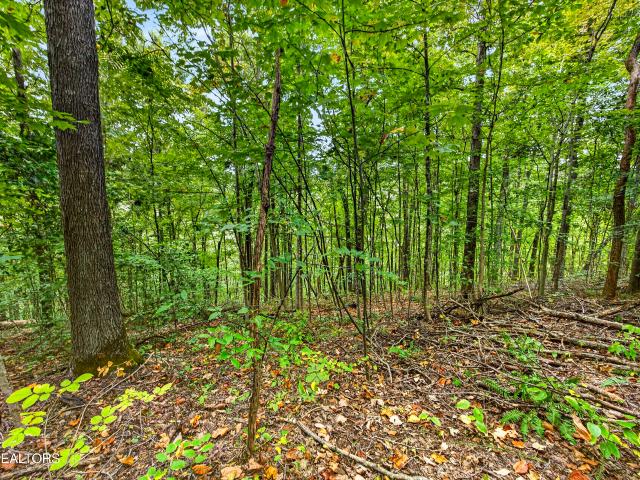 Land for sale in Neely Crossroads, Celina