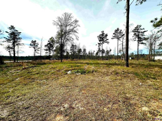 Land for sale in Saint Helena, Louisiana