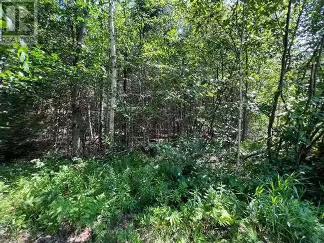 House for sale in Kawartha Lakes, Ontario