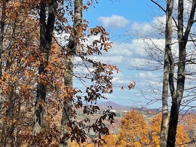 Land for sale in Jefferson, North Carolina