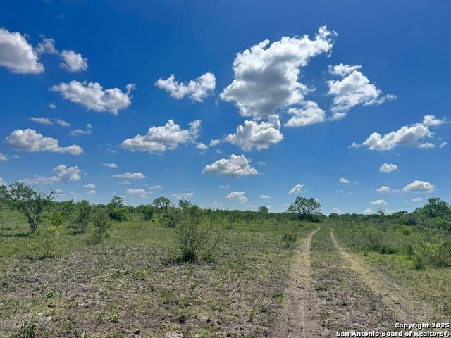 Land for sale in Falls City, Texas