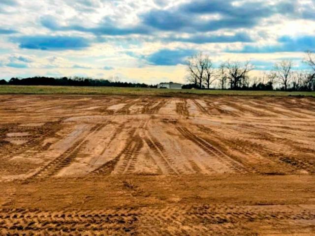 Land for sale in Red Level, Alabama